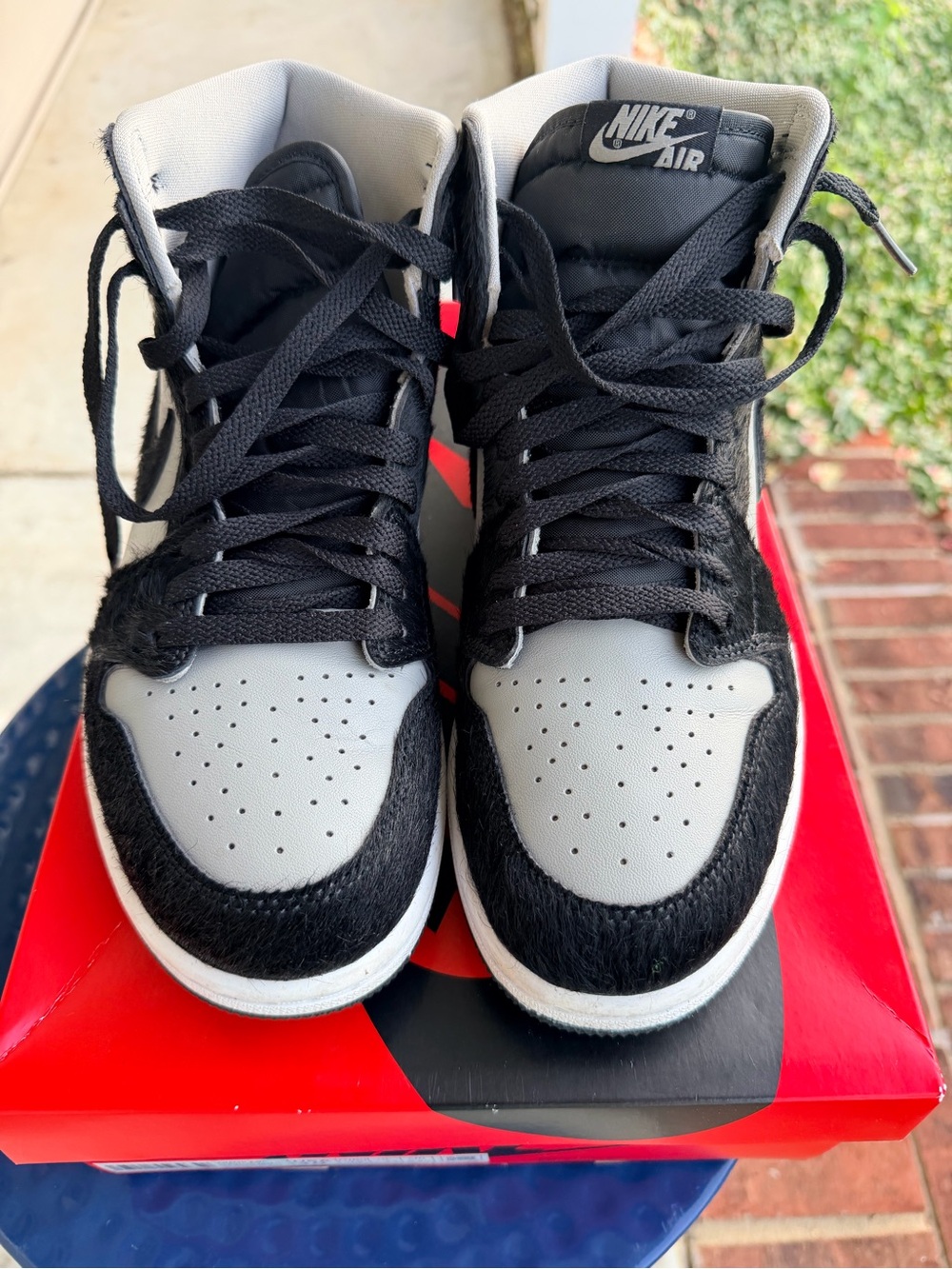 AUTHENTIC Nike Air Jordan 1 Retro High OG "Twist 2.0"